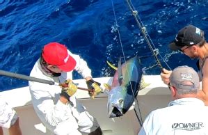 game fishing charters sydney|Game Fishing Charters .
